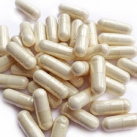 Zinc Carnosine with PepZinGI capsules