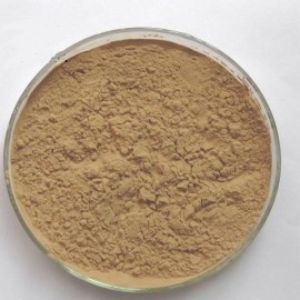 Hesperidin  90% PURE POWDER