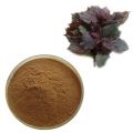 Perilla Frutescens Leaf Extract 10:1 Powder