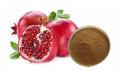 40% Ellagic Acid Extract Powder Pomegranate