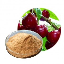 Acerola Cherry ORGANIC 10:1 pure Powder