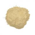 ORGANIC Astragalus 20:1 pure powder