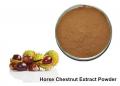 Horse Chestnut Extract powder  20% aescin