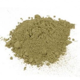 Horsetail Arvense extract powder